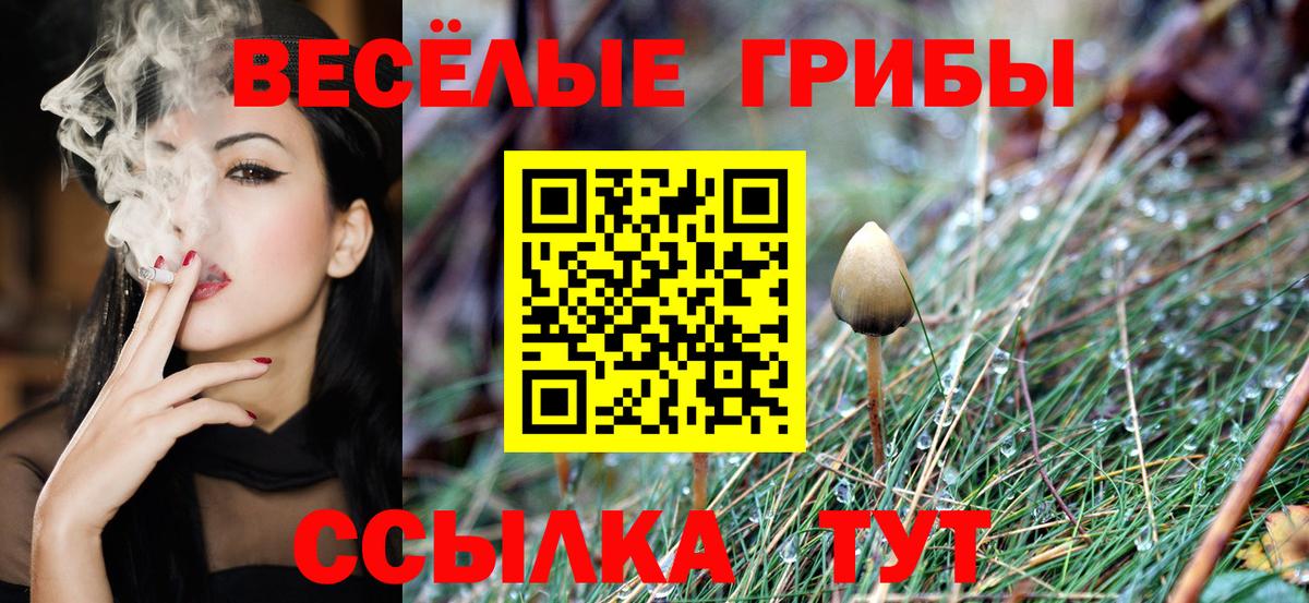 Галлюциногенные грибы Cubensis Джанкой