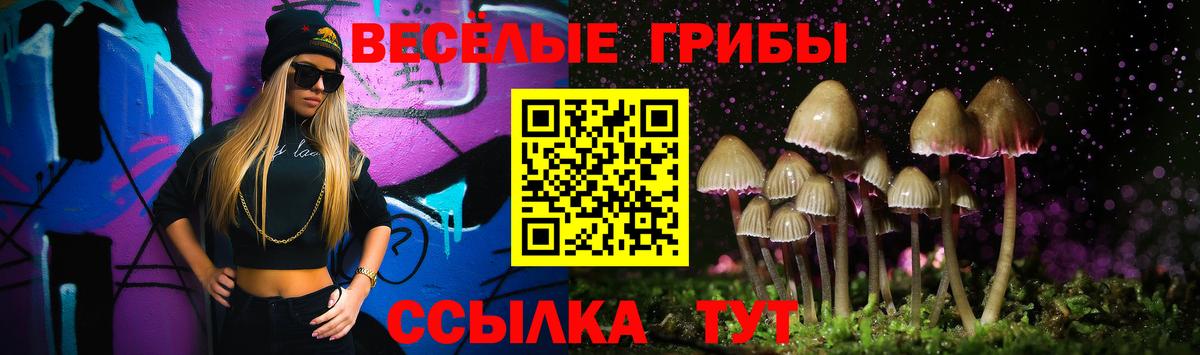 где найти наркотики  Галлюциногенные грибы Psilocybe  Джанкой  Вход с VPN  Псилоцибиновые грибы MAGIC MUSHROOMS 